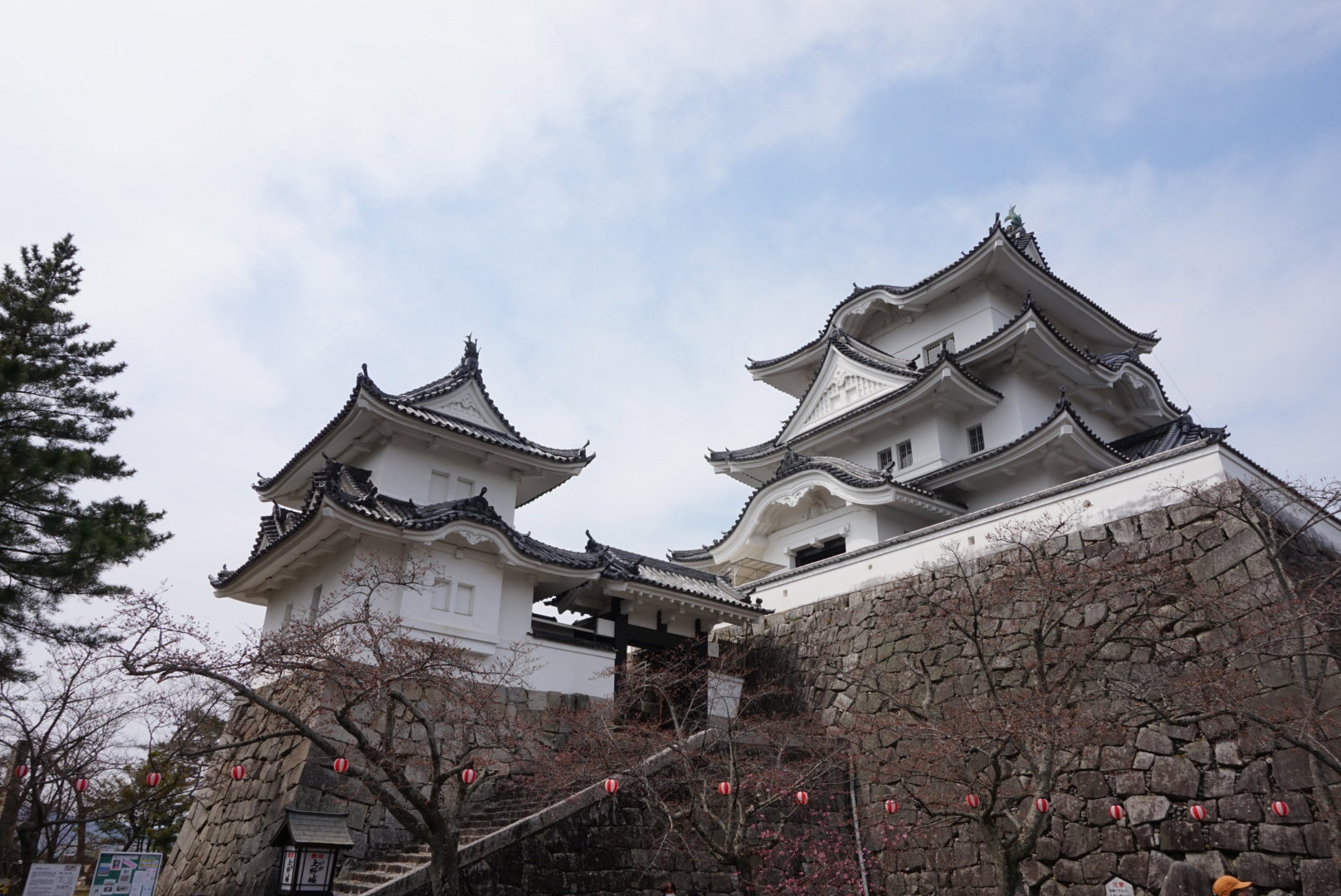 AndyHotDog 分享的打卡照片